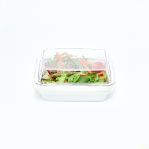 7181.77 EURO-Systemdeckel - rechteckig - - 120 x 90 mm - glasklar - Tritan