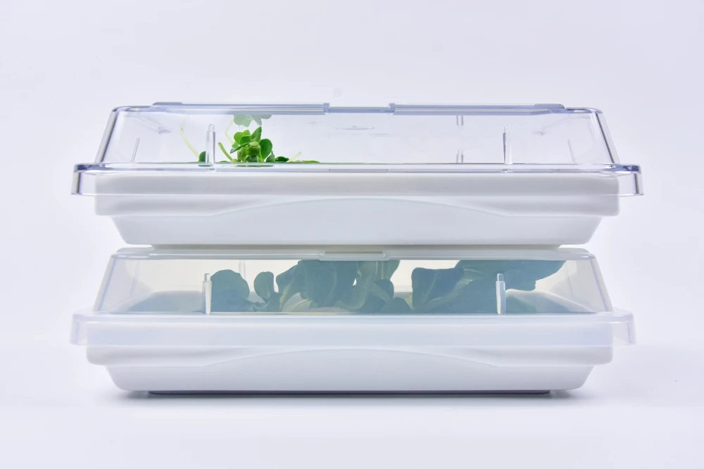 7785.01 EURO lid - rectangular - - 195 x 133 mm - transparent - Polypropylene (PP)
